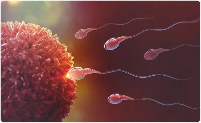 wasting-sperm-is-good-or-bad