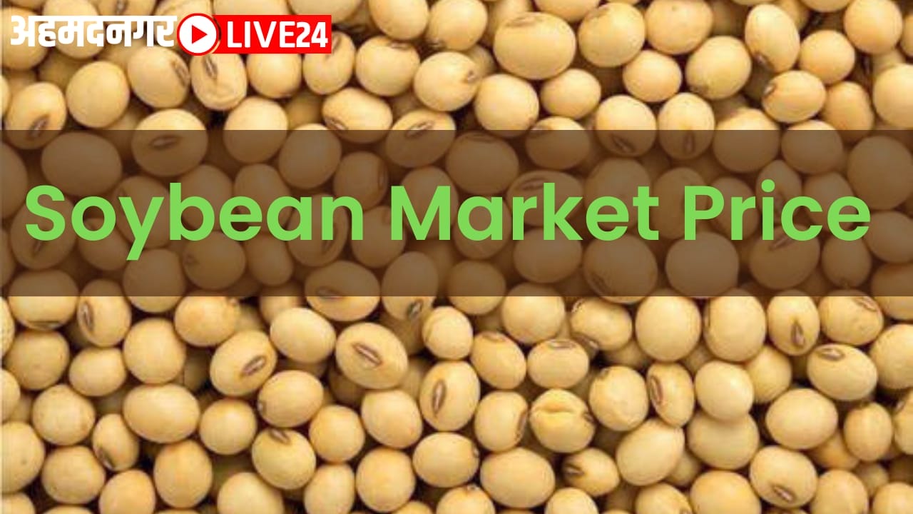 soybean market price