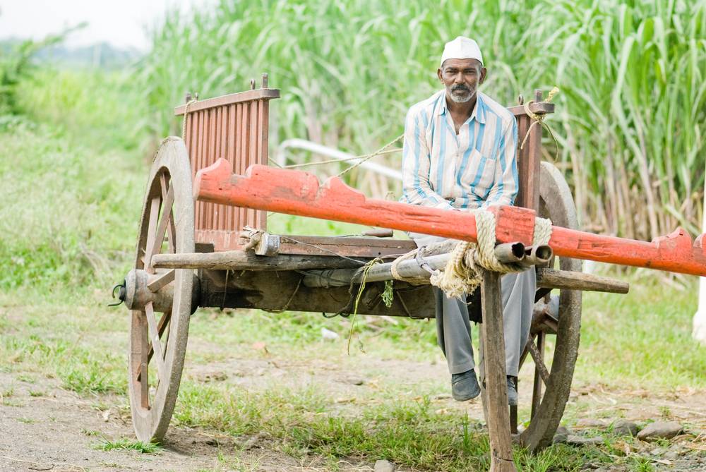 PM Kisan Yojana Farmers Know What Mistakes Can Stuck Your Rs 2000 Otherwise