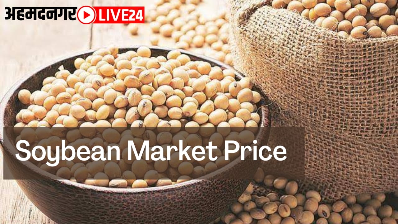 soybean price