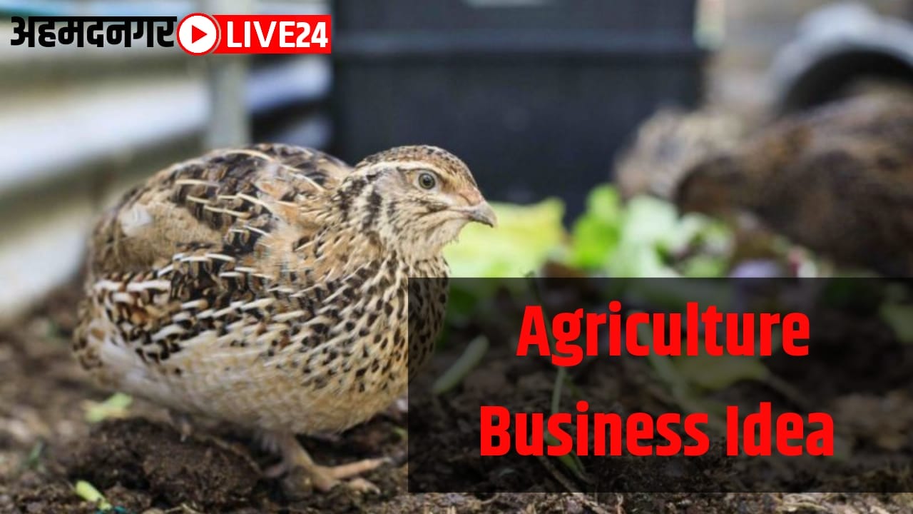 agriculture business idea