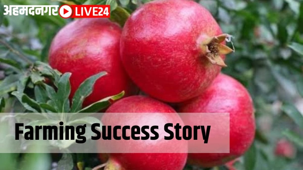 farming success story