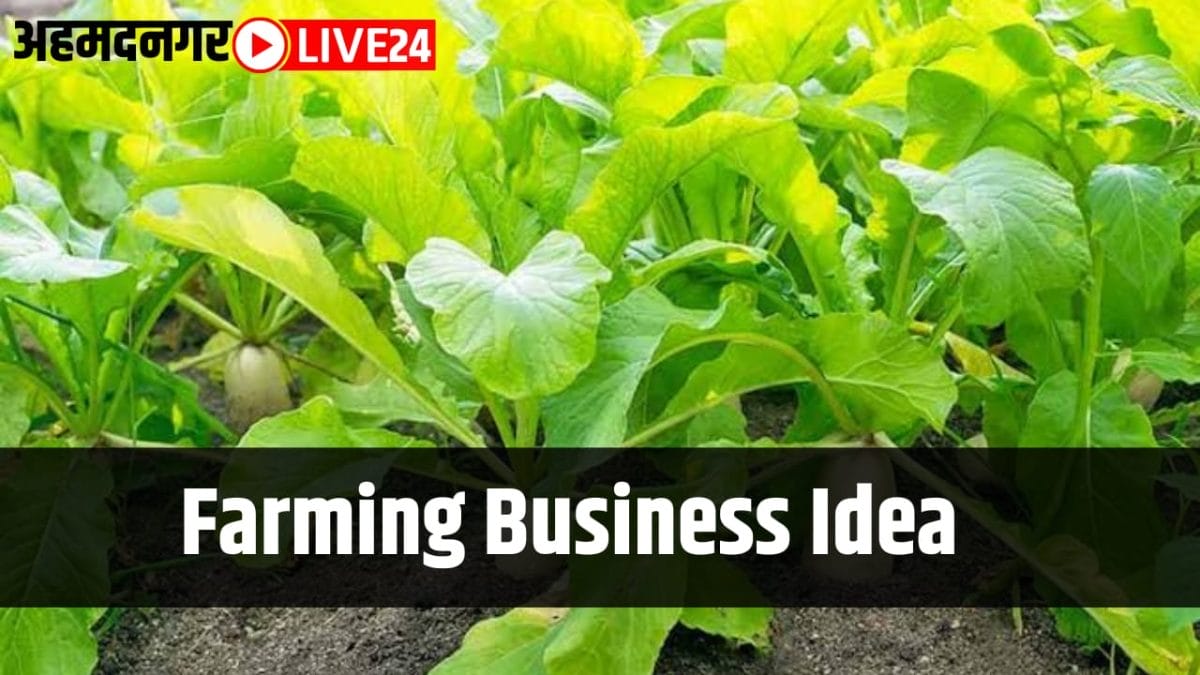 farming business idea