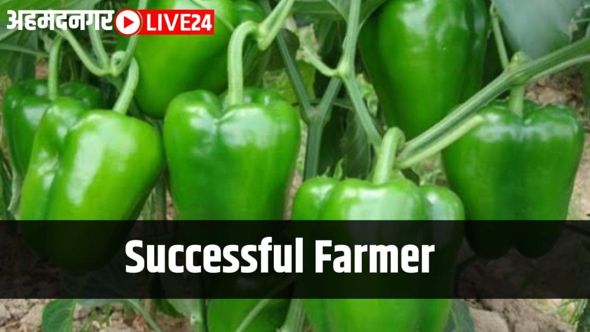 successful farming