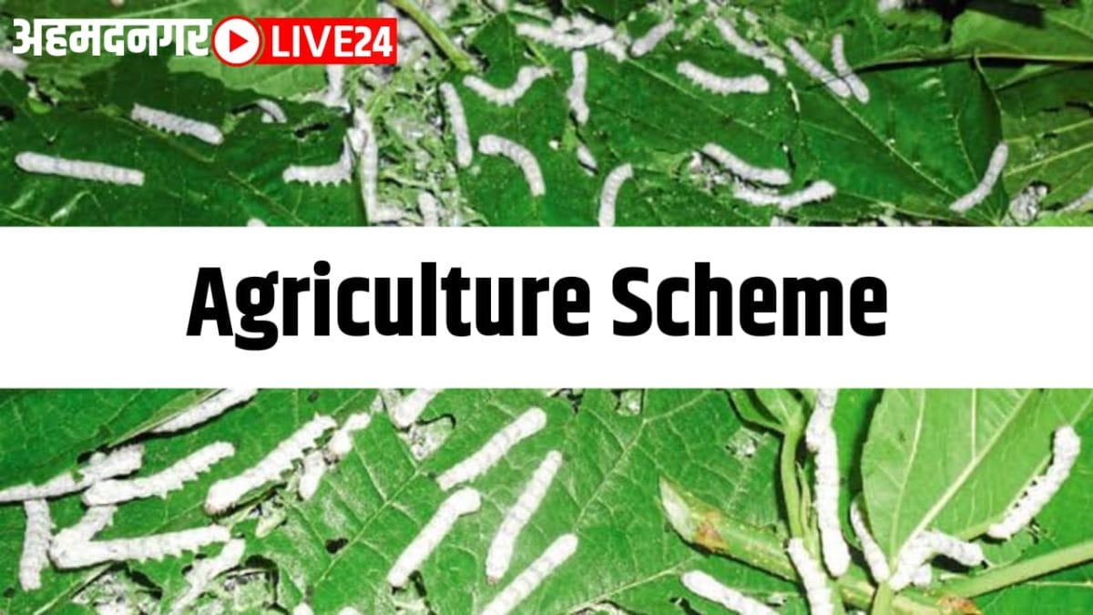 agriculture scheme