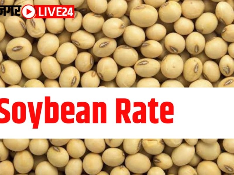 soybean rate